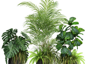 Plants collection 599 3D 모델