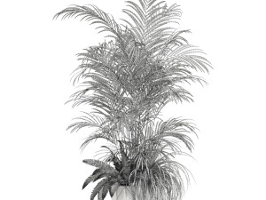 Plants collection 599 3D Model