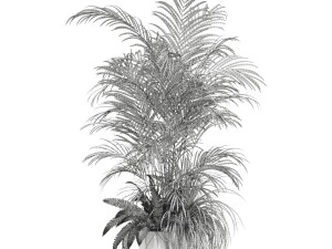 Plants collection 599 3D Model