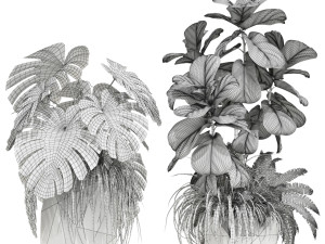 Plants collection 599 3D Model