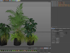 Plants collection 599 3D Model