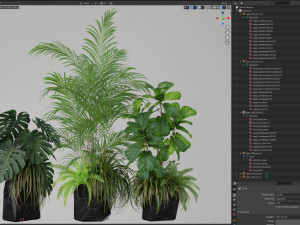 Plants collection 599 3D Model
