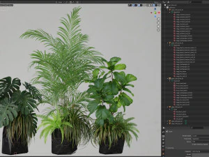 Plants collection 599 3D Model