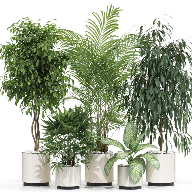 Plants collection 600 Modello 3D .c4d .max .obj .3ds .fbx .stl .blend 