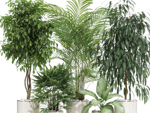 Plants collection 600 3D Модель