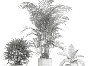 Plants collection 600 Modello 3D