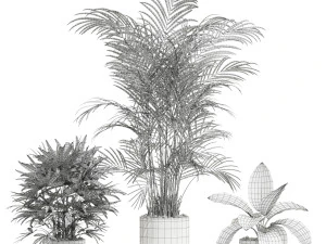 Plants collection 600 3D Model