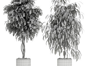 Plants collection 600 Modello 3D