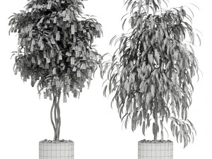 Plants collection 600 3D Model