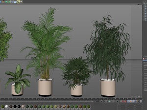 Plants collection 600 Modello 3D