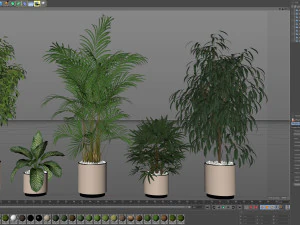 Plants collection 600 3D Model