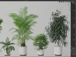 Plants collection 600 Modello 3D