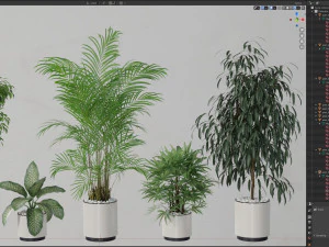 Plants collection 600 3D Model
