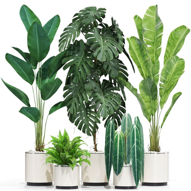 Plants collection 601 3D Model .c4d .max .obj .3ds .fbx .stl .blend 