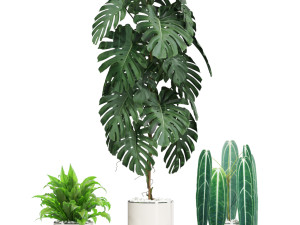 Plants collection 601 3D Model