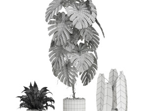 Plants collection 601 3D Model