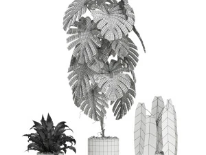 Plants collection 601 3D Model