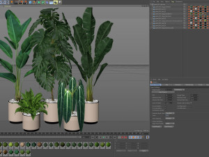 Plants collection 601 3D Model