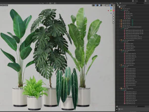 Plants collection 601 3D Model