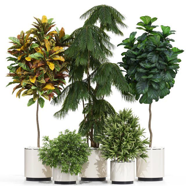 Plants collection 602 Modelo 3D .c4d .max .obj .3ds .fbx .stl .blend 