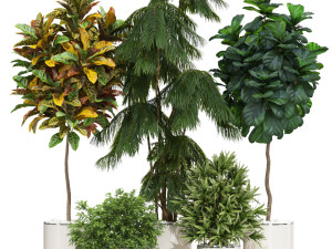 Plants collection 602 3Dモデル
