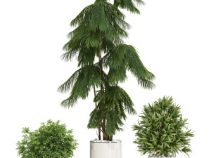 Plants collection 602 Modelo 3D