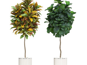 Plants collection 602 Modelo 3D