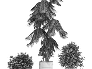Plants collection 602 Modelo 3D