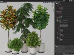 Plants collection 602 Modelo 3D