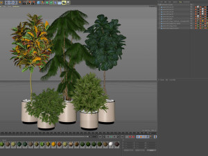 Plants collection 602 Modelo 3D