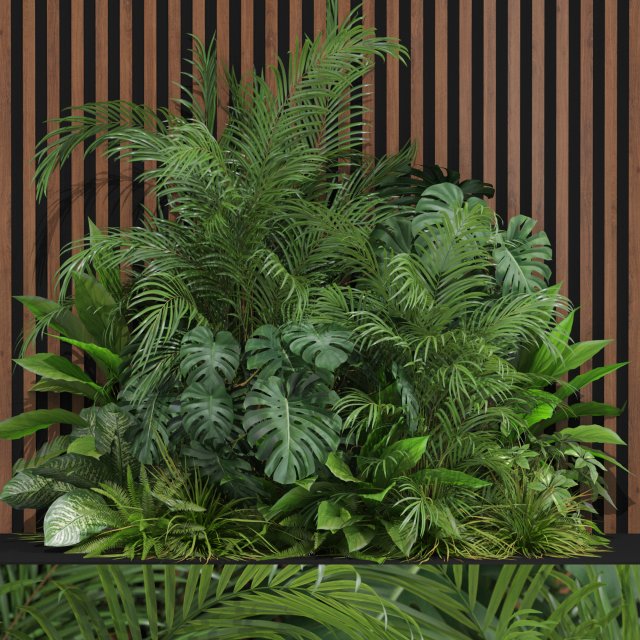 Plants collection 603 Modello 3D .c4d .max .obj .3ds .fbx .stl .blend 