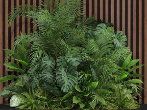 Collezione piante 603 Modello 3D