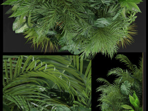 Plants collection 603 Modello 3D