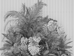 Plants collection 603 Modello 3D