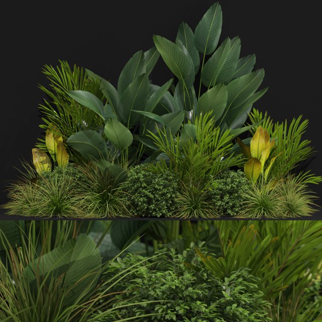 Plants collection 604 Model 3D .c4d .max .obj .3ds .fbx .stl .blend 