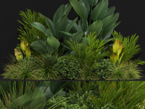 Plants collection 604 3D Model