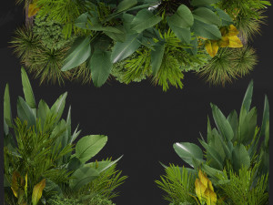 Plants collection 604 Model 3D
