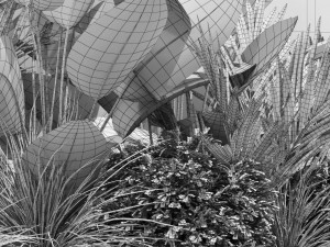 Plants collection 604 Model 3D