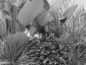 Plants collection 604 3D Model