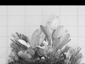 Plants collection 604 Model 3D