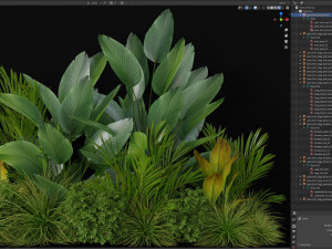 Plants collection 604 Model 3D