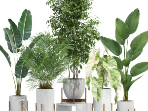 Plantencollectie 605 3D Model