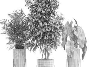 Plants collection 605 3D 模型