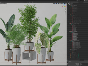 Plants collection 605 3D 模型