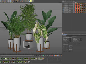 Plants collection 605 3D 模型