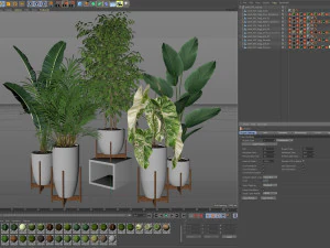 Plants collection 605 3D Model