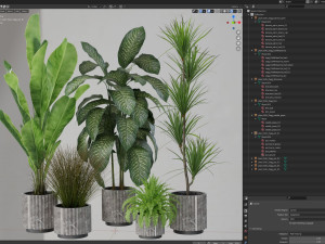 Plants collection 606 3Dモデル