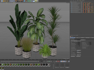 Plants collection 606 3Dモデル