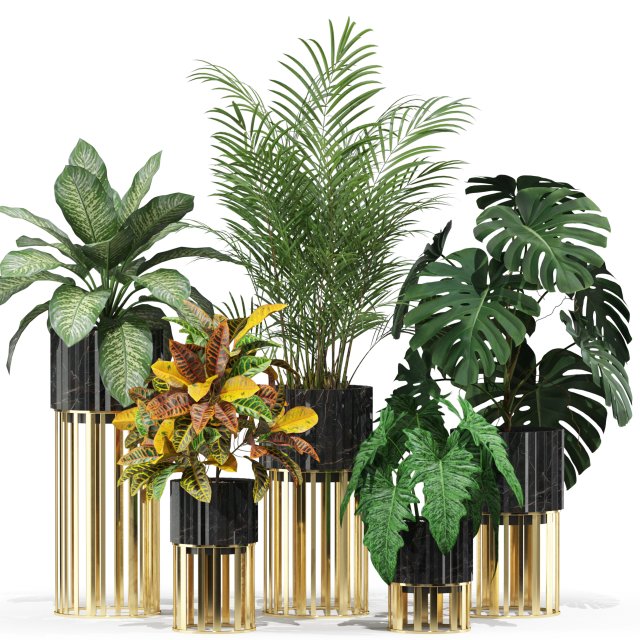 Plants collection 607 3D 모델 .c4d .max .obj .3ds .fbx .stl .blend 