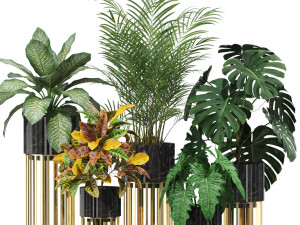 Plants collection 607 3D 模型
